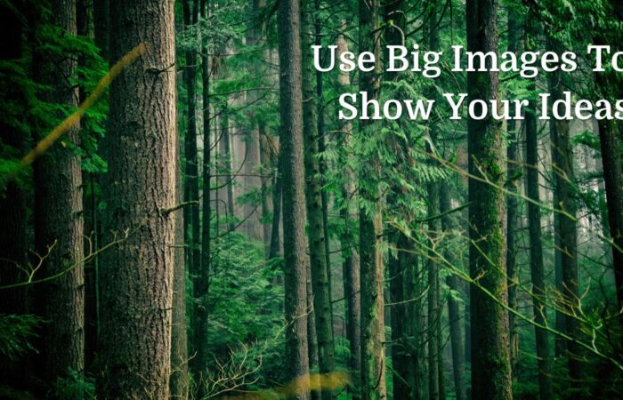 Шаблон презентации деревообрабатывающего предприятия