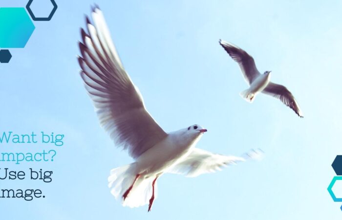 Шаблон для презентации услуг фрилансера