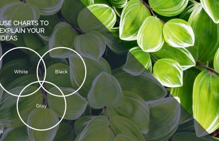 Шаблон презентации для туристической фирмы