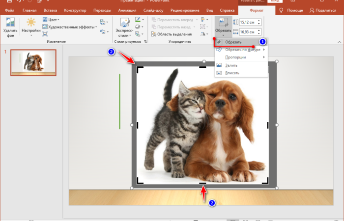 Обрезаем изображение в PowerPoint